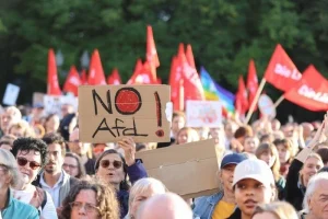 У Гамбурзі тисячі людей вийшли проти AfD: містом пройшла велика демонстрація